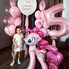 Roze ponypaardballonnen