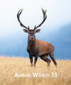 Animal World Book 1.1
