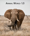 Animal World Book 1.3
